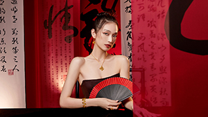 FAN 范系列