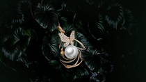 海润珍珠 热带雨林  从林系列产品  海报创意片  珠宝摄影服务